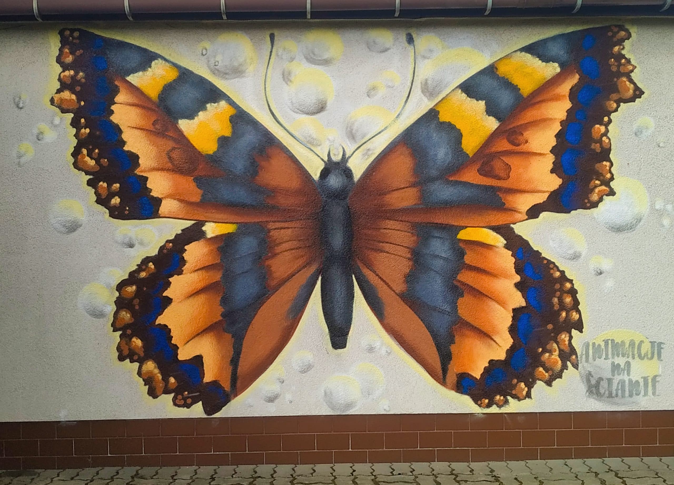 Wielkoformatowy mural motyla na elewacji budynku - realizacja Animacje na Ścianie