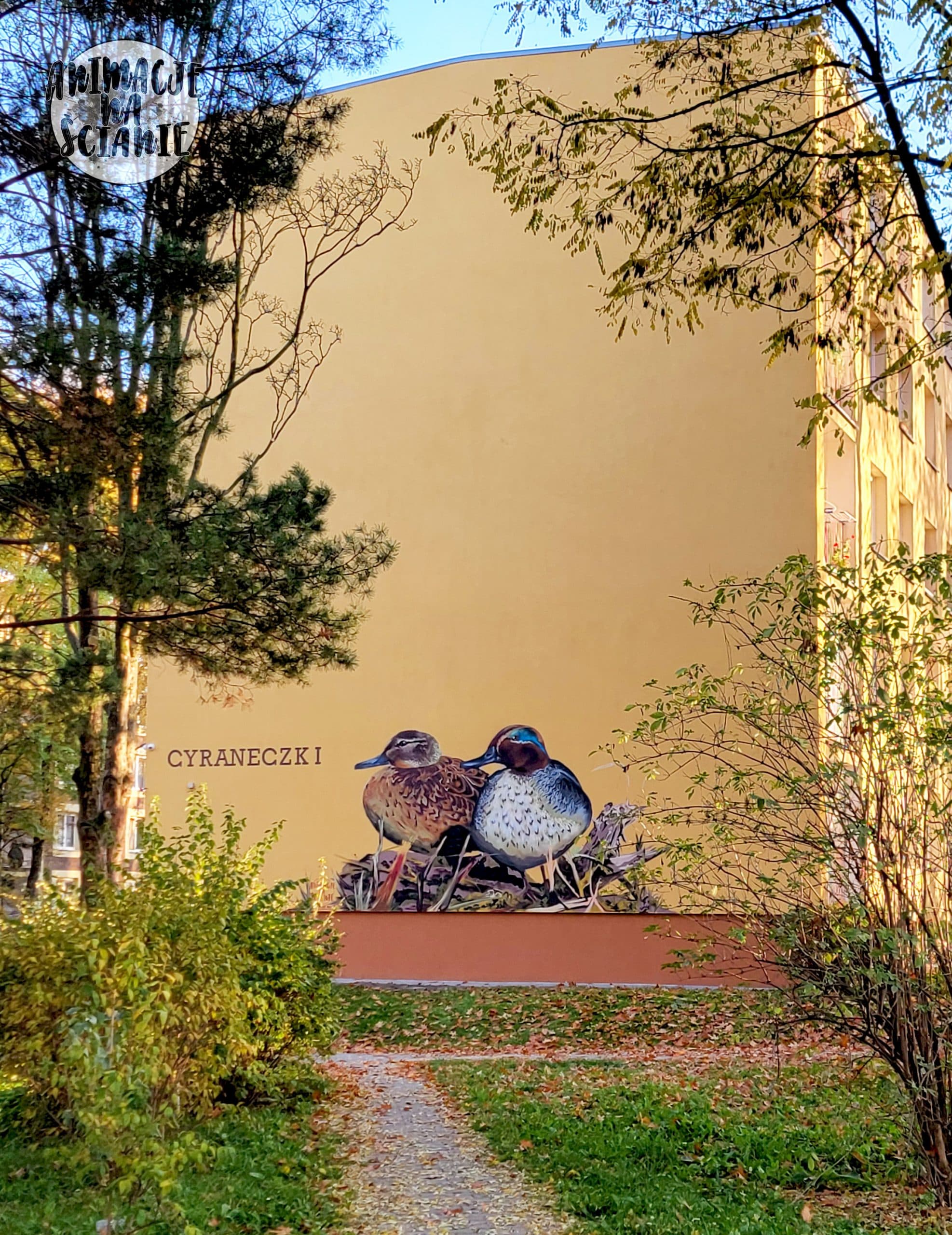 Mural Cyraneczki - dwie kaczki namalowane na elewacji bloku mieszkalnego